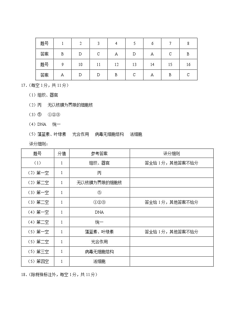 云南省昭通一中教研联盟2025-2026学年高一上学期期中考试生物（B）答案第1页
