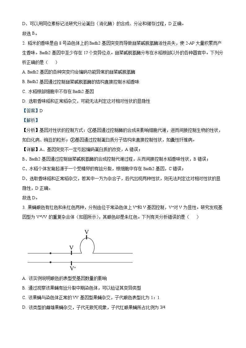 广东省湛江市2024届高三下学期 一模试题 生物  含解析第2页