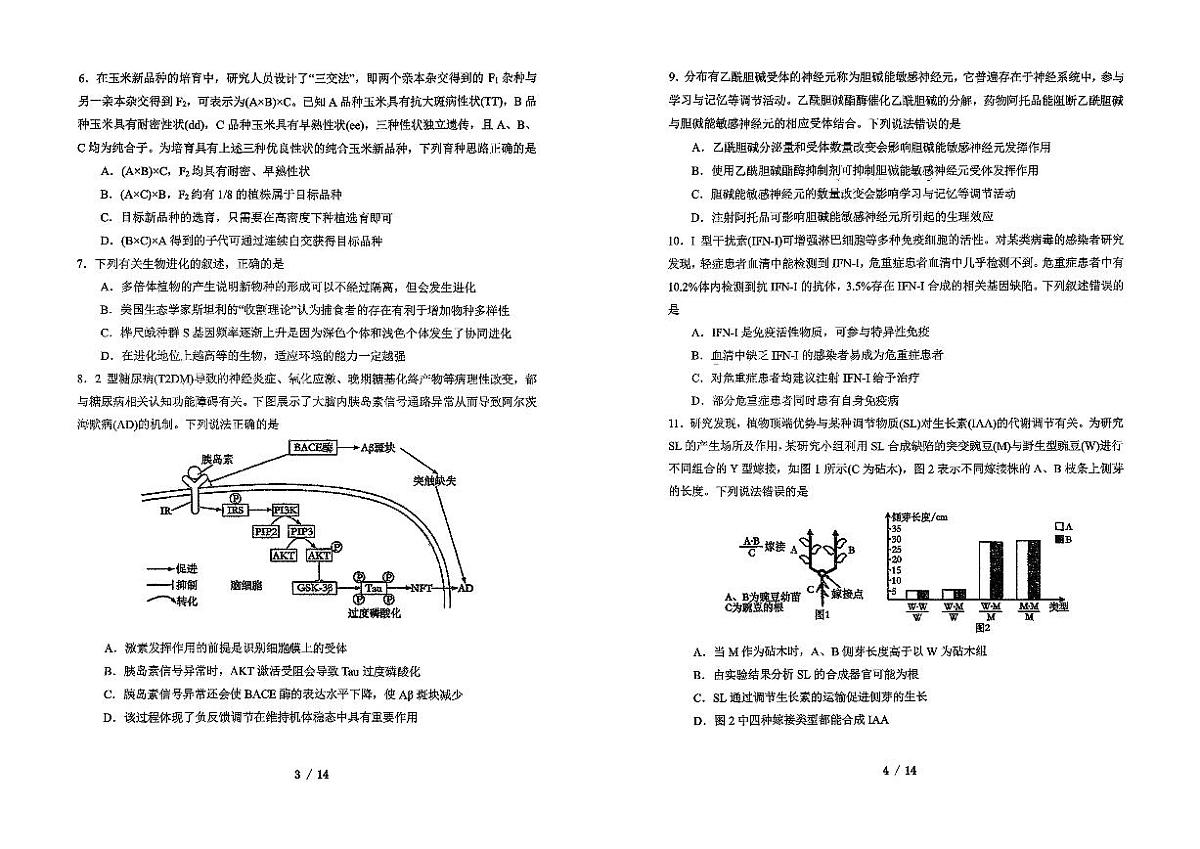 吉林省长春市东北师范大学附属中学2025-2026学年高三上学期第三次摸底考试生物第2页