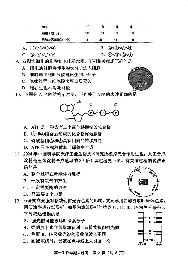 天津市部分区2024-2025学年高一上学期期末生物试卷第2页