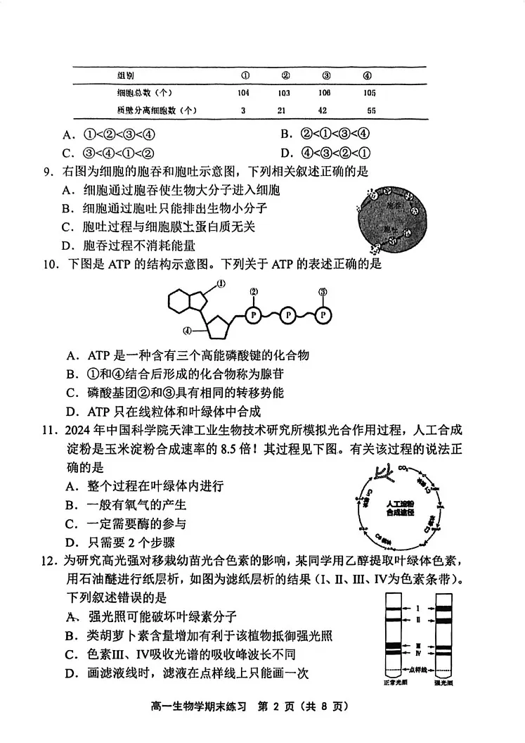 天津市部分区2024-2025学年高一上学期期末生物试卷第2页