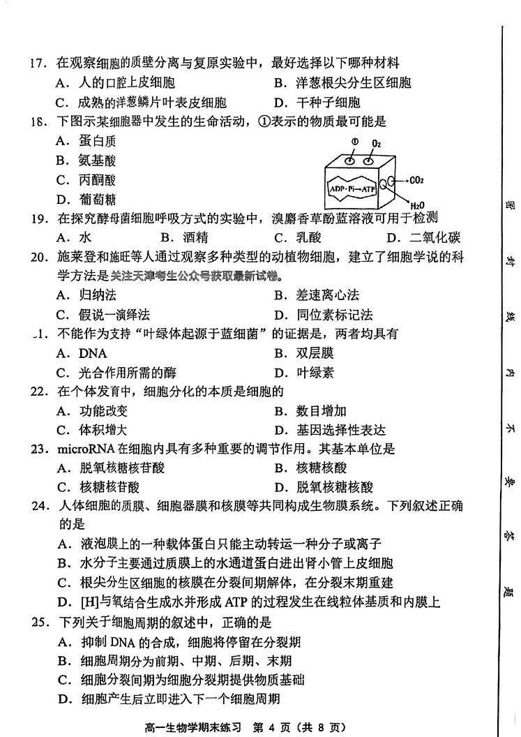 天津市部分区2024-2025学年高一上学期期末生物试卷第3页