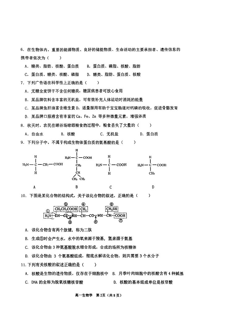 天津市滨海新区2024-2025学年高一上学期期末生物试卷第2页