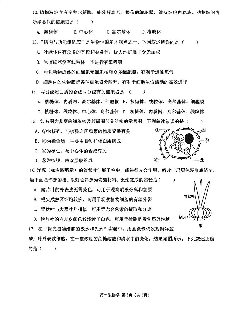 天津市滨海新区2024-2025学年高一上学期期末生物试卷第3页