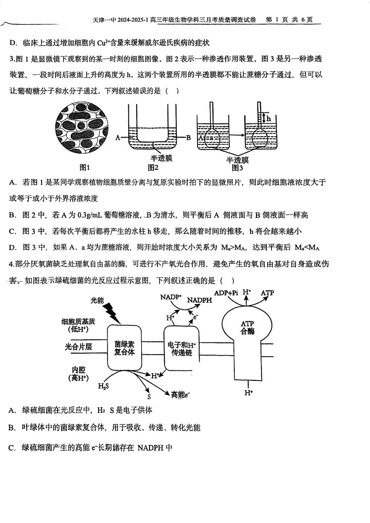 天津市第一中学2024-2025学年高三上学期期末考试生物试题第2页