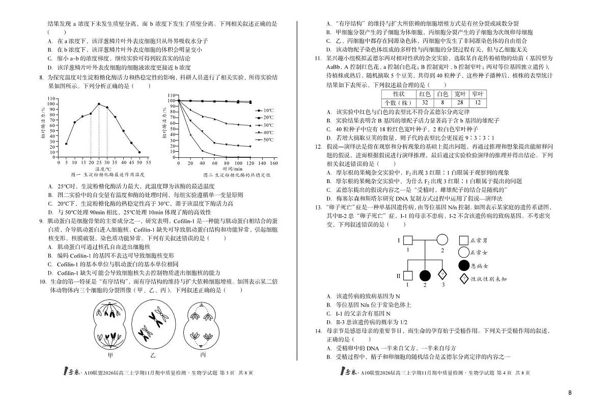 【8K生物学】（B卷）1号卷·A10联盟2026届高三上学期11月期中质量检测生物学B第2页
