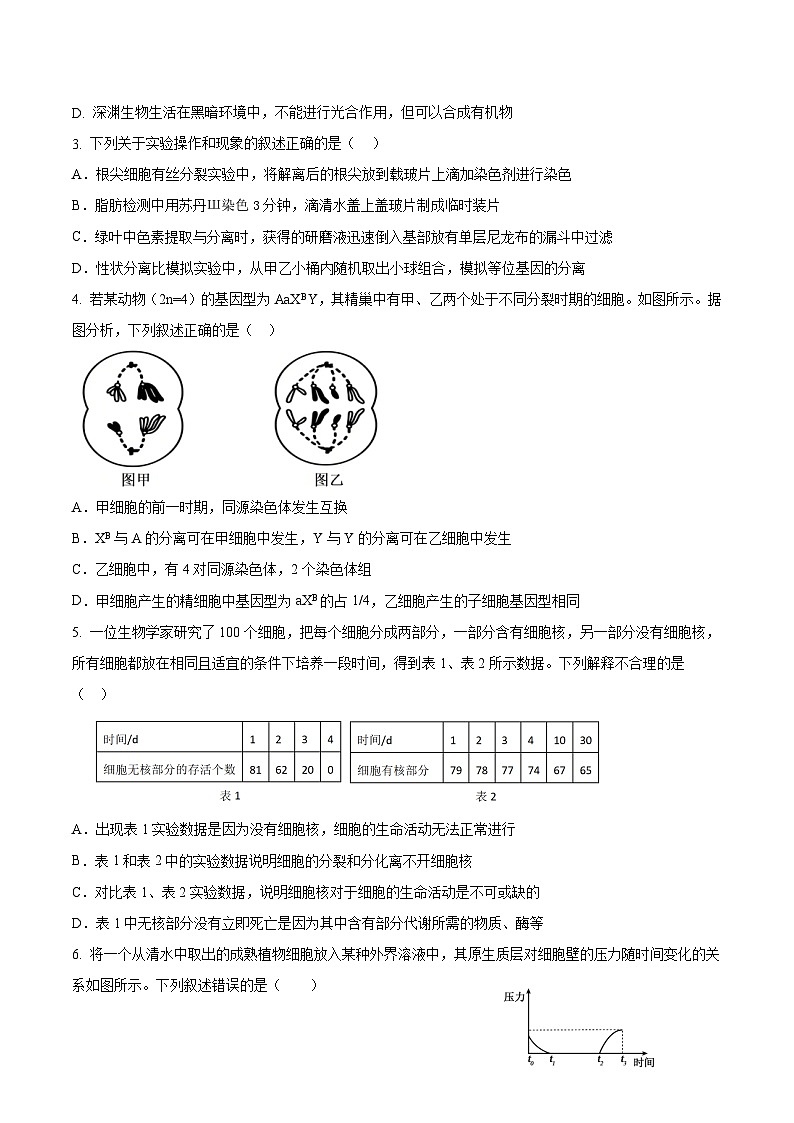 吉林省九校2026届高三上学期11月联合模拟考试生物试卷（Word版附答案）第2页