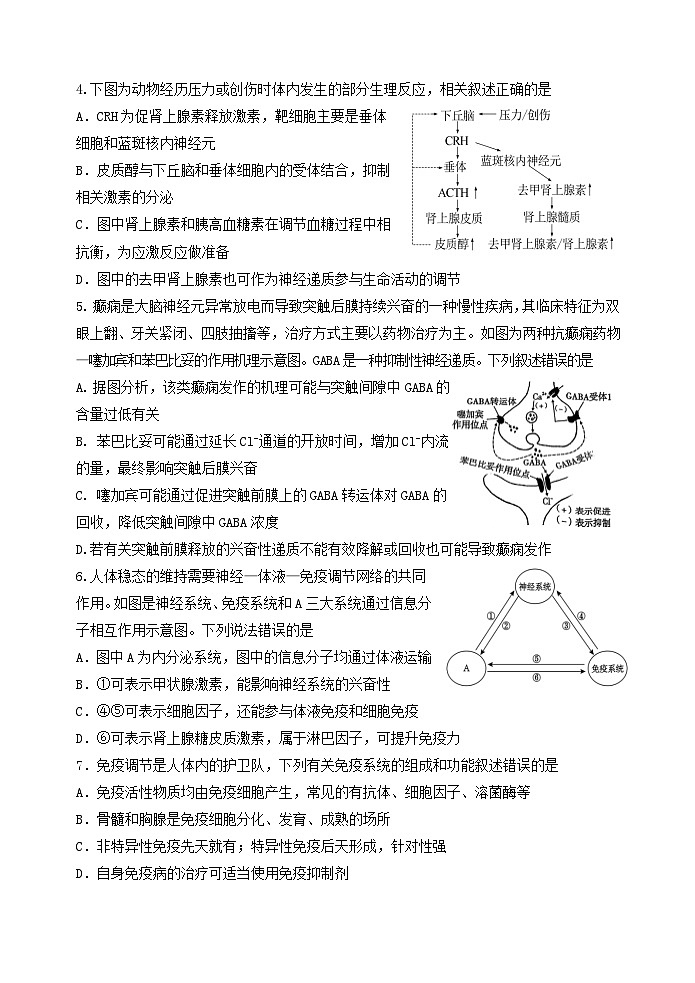 人教版2019高中生物 选择性必修1+2 高二.上期末期末模拟卷 综合练习第2页