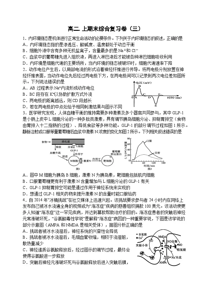 人教版2019高中生物 选择性必修1+2 高二.上期末综合练3 综合练习第1页
