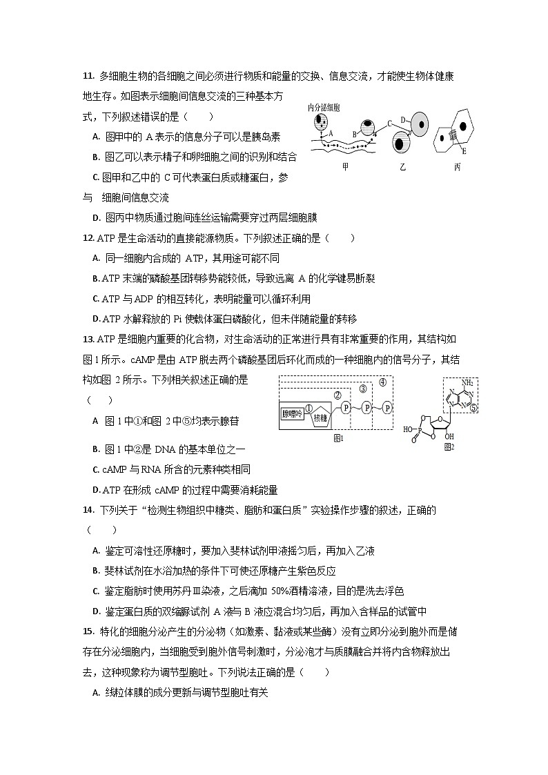 四川省眉山市彭山区第一中学2025-2026学年高一上学期12月月考生物试题第3页