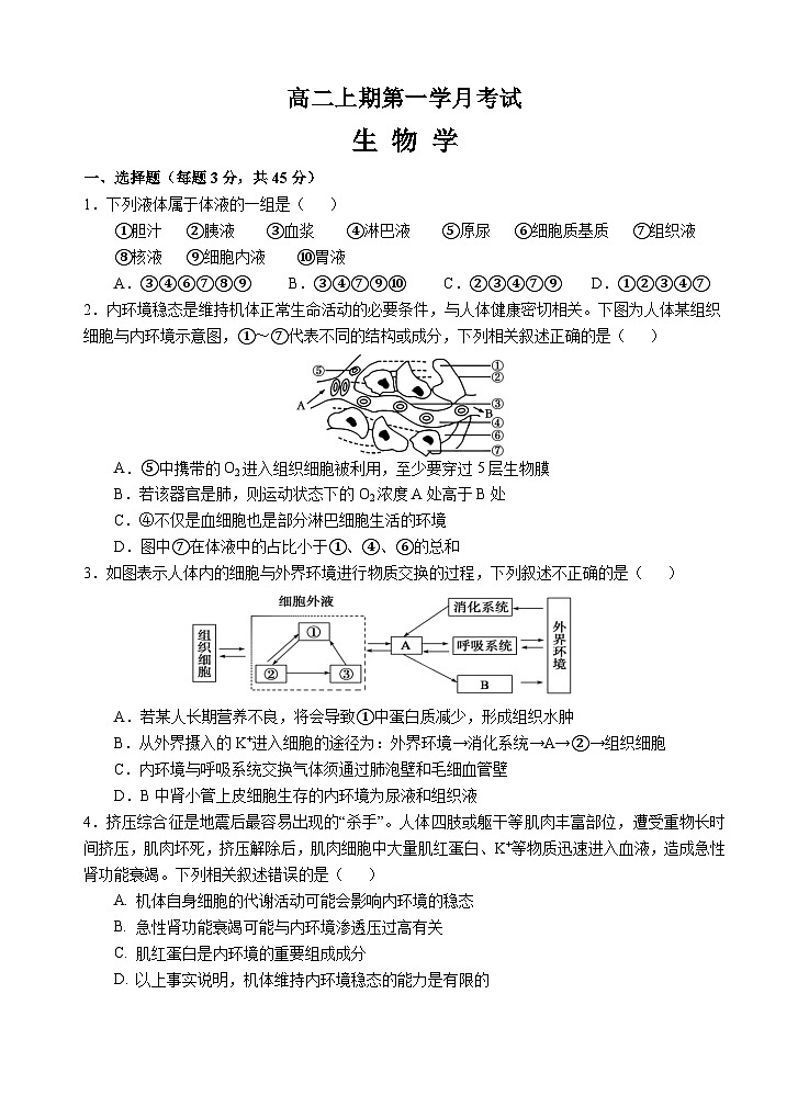 人教版2019高中生物 选择性必修1+2 高二.上期月考卷 综合练习第1页