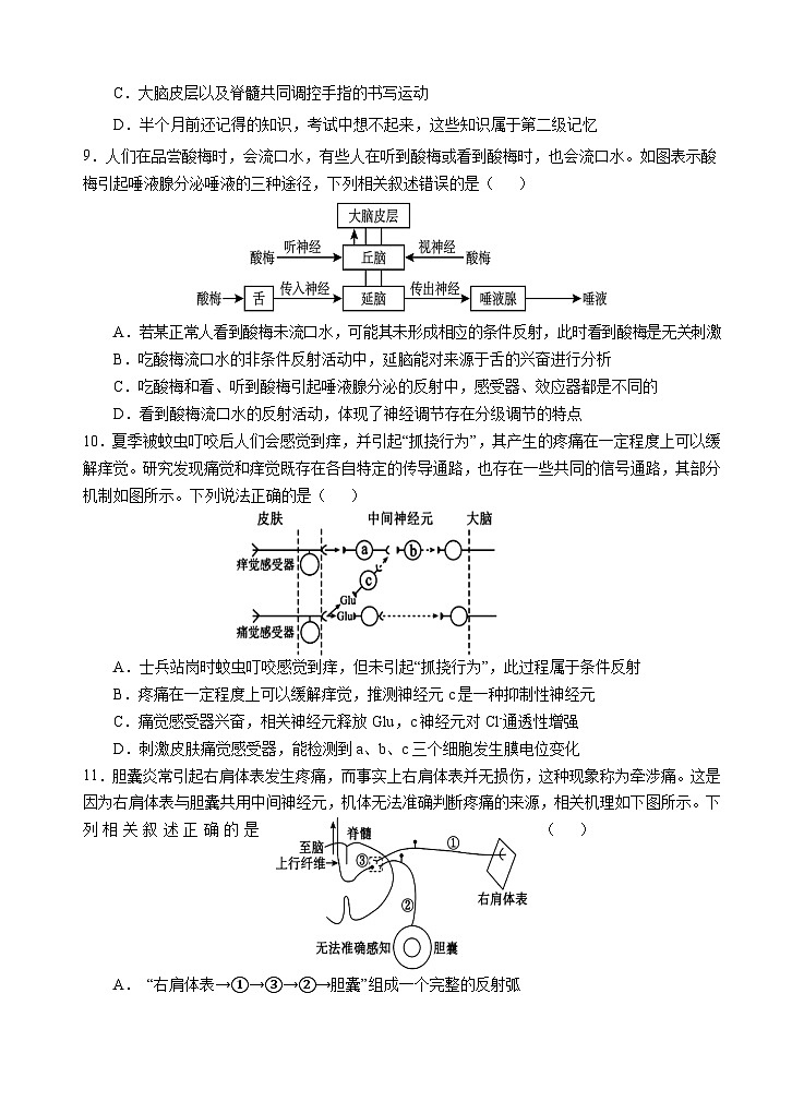 人教版2019高中生物 选择性必修1+2 高二.上期月考卷 综合练习第3页
