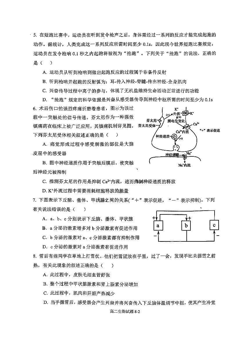 湖北省十堰市八校教联体2025-2026学年高二上学期12月联考生物学试题（含答案）第2页