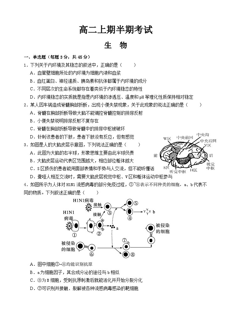 人教版2019高中生物 选择性必修1+2 高二.上期半期考试卷 综合练习第1页
