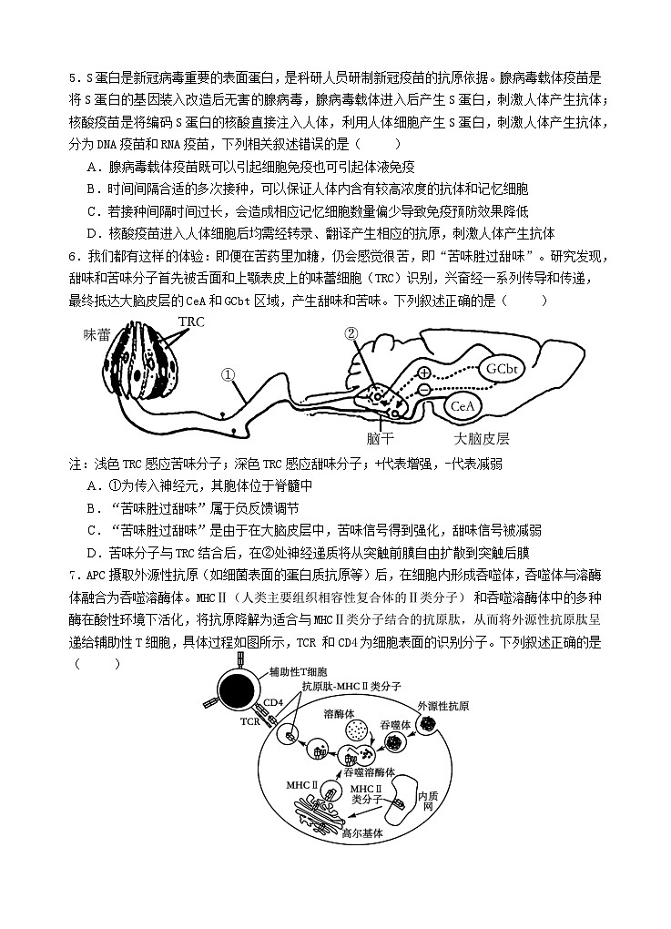 人教版2019高中生物 选择性必修1+2 高二.上期半期考试卷 综合练习第2页