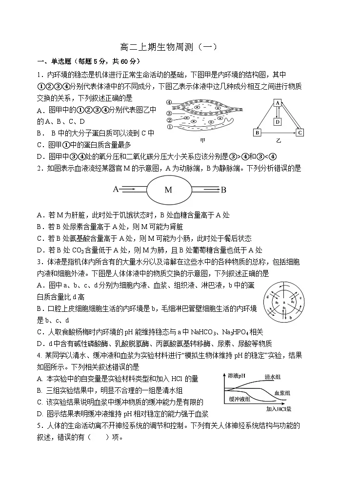 人教版2019高中生物 选择性必修1+2 高二.上期周测1 综合练习第1页