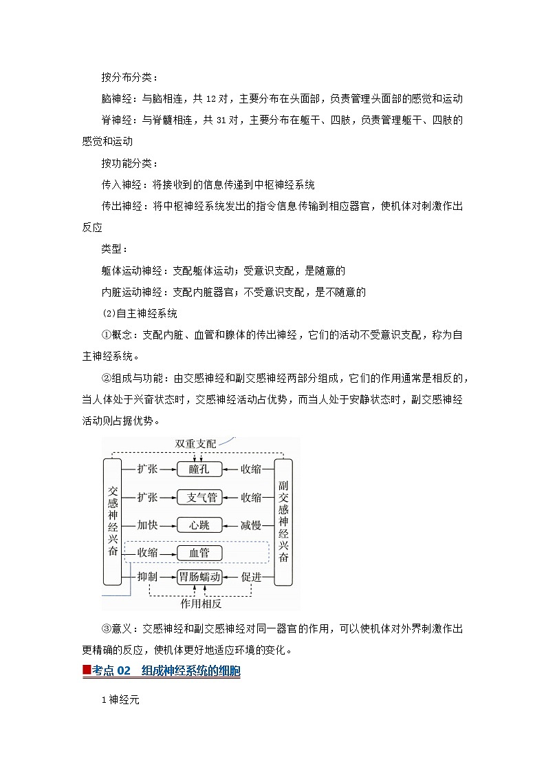 专题02神经调节（word）2025-2026学年高中生物选修一期末复习学案知识清单+习题（解析版）第2页