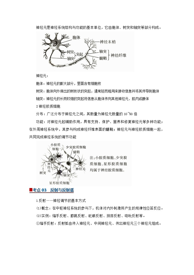 专题02神经调节（word）2025-2026学年高中生物选修一期末复习学案知识清单+习题（解析版）第3页