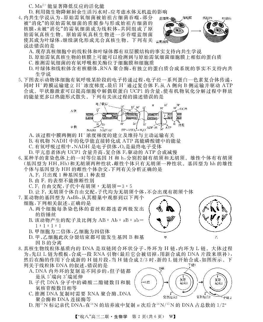 26高三皖八二联-生物学第2页