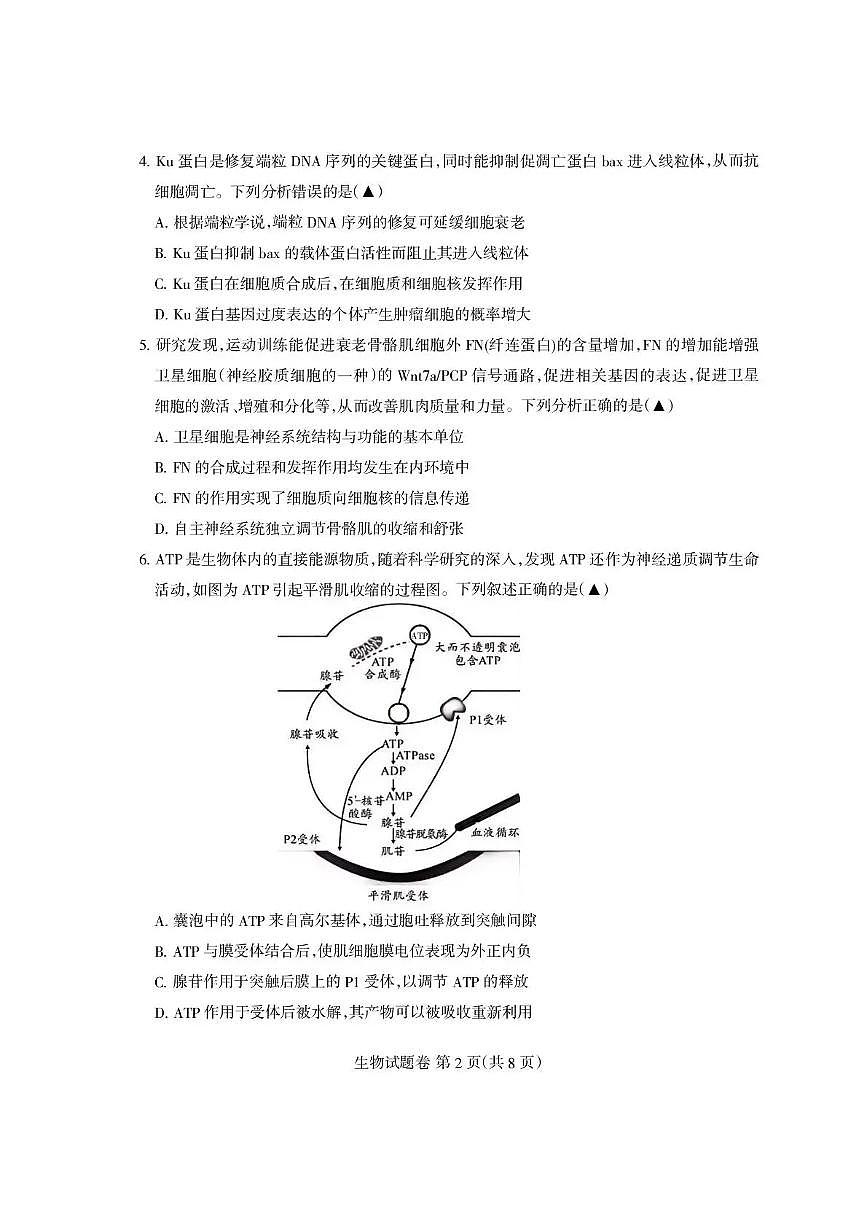 四川省凉山州2026届高中毕业班第一次诊断性考试生物第2页
