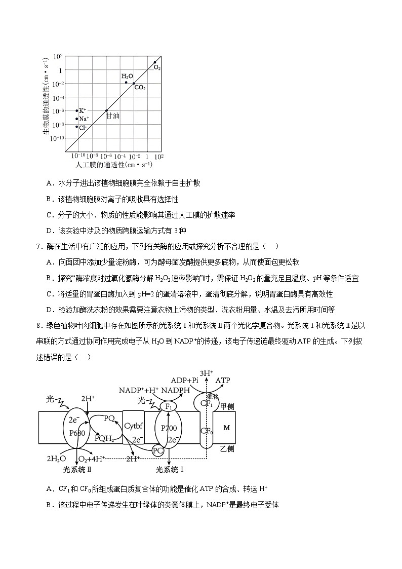 重庆市2025-2026学年高三上学期11月期中调研考试生物试卷（Word版附答案）第3页