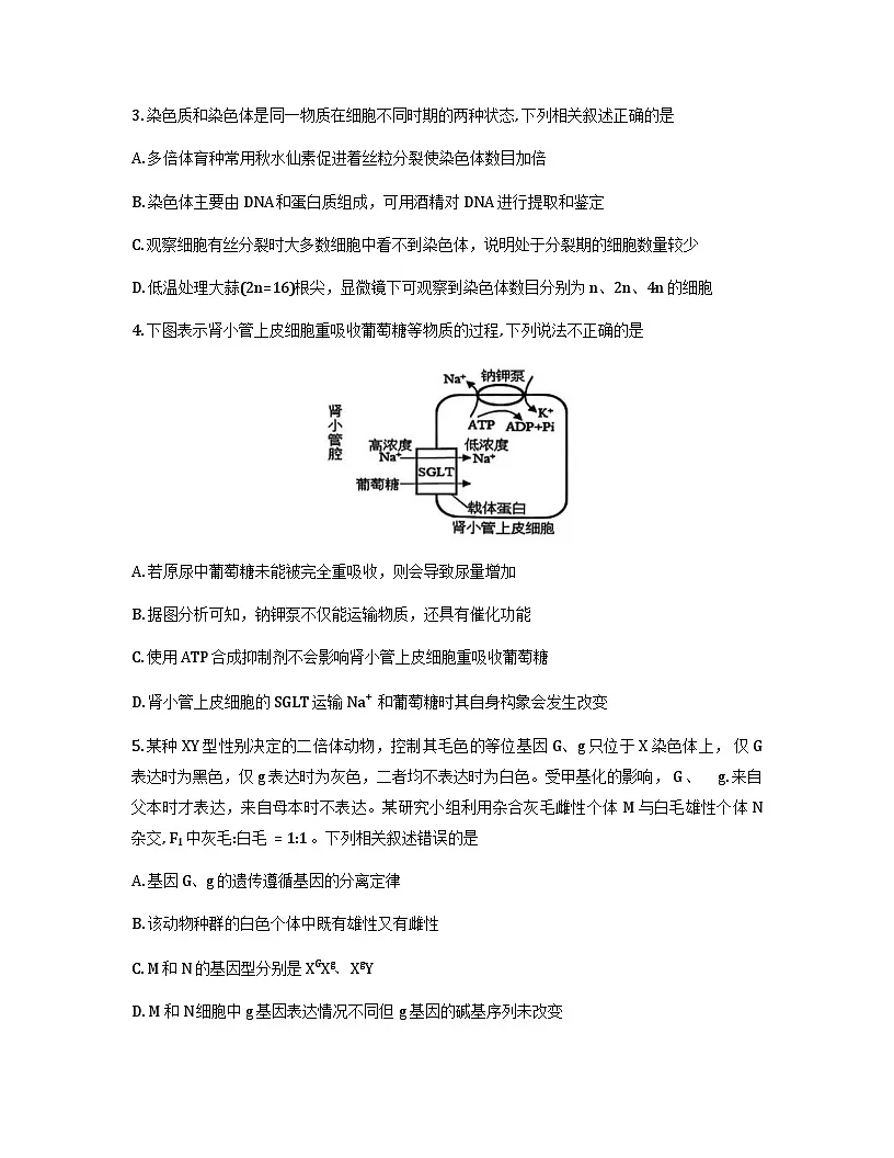 云南省大理州2026届高三上学期第一次复习统一检测生物试卷（Word版附解析）第2页
