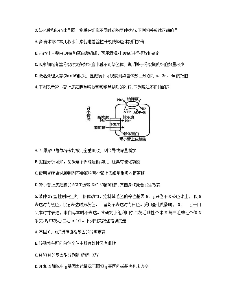 云南省大理州2026届高三上学期第一次复习统一检测生物试卷（Word版附解析）第2页