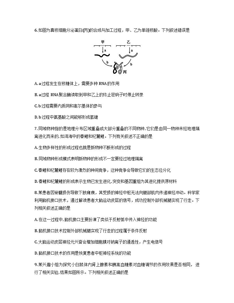 云南省大理州2026届高三上学期第一次复习统一检测生物试卷（Word版附解析）第3页
