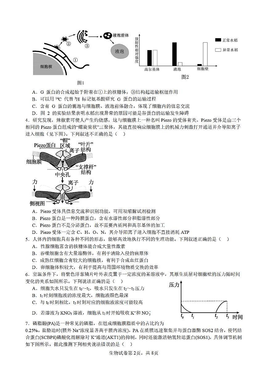 合肥市普通高中六校联盟2025年秋季学期期中考试生物第2页