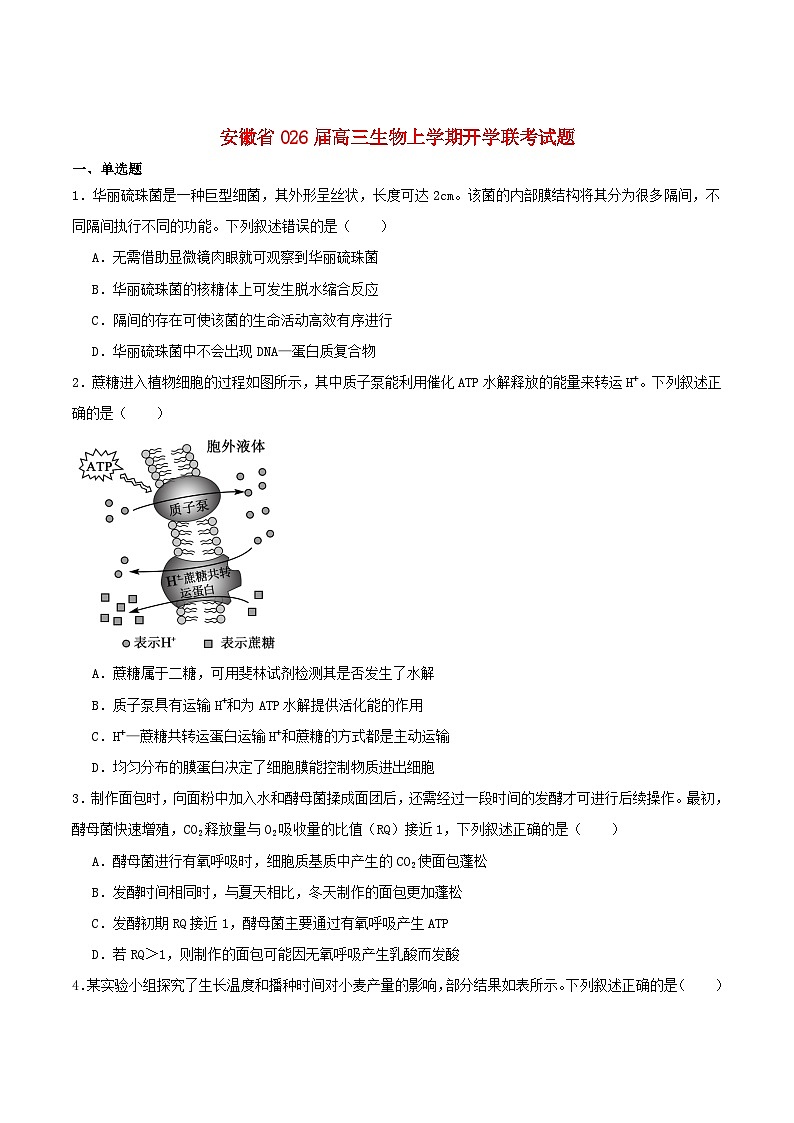 安徽省2026届高三生物上学期9月开学联考试题第1页
