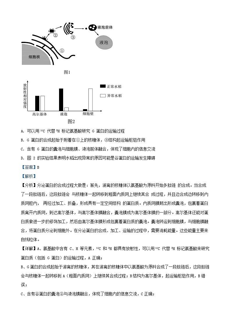 安徽省合肥市2026届高三生物上学期11月期中试题含解析第3页