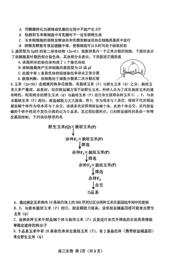 天津市河北区2024-2025学年高三上学期期末生物试卷第2页