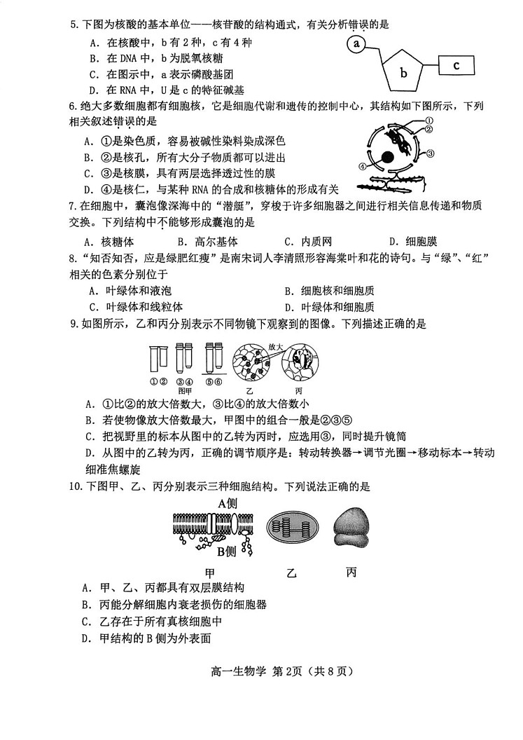 天津市河北区2024-2025学年高一上学期期末生物试卷第2页