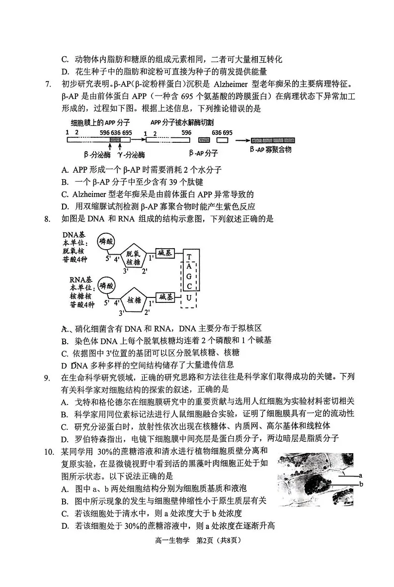 天津市南开区2024-2025学年高一上学期期末生物试卷第2页