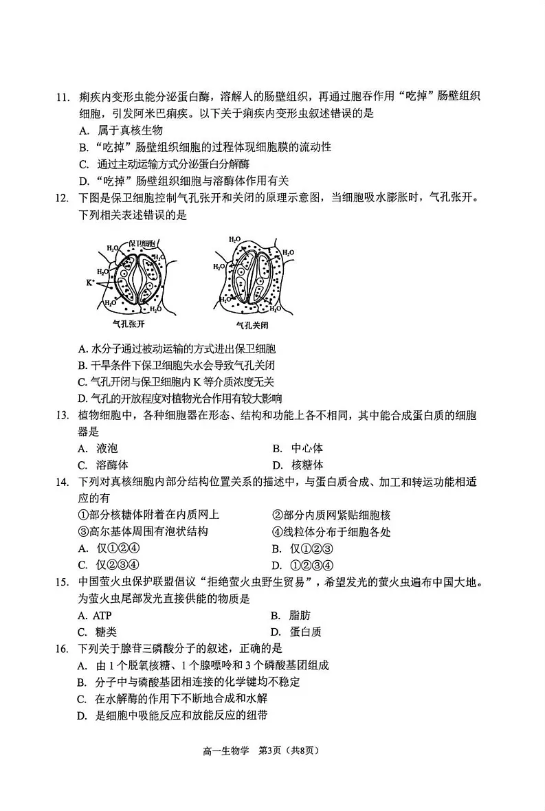 天津市南开区2024-2025学年高一上学期期末生物试卷第3页