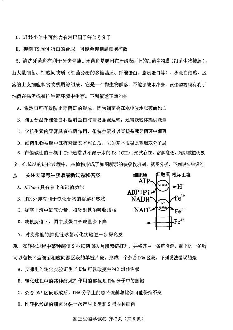 天津市西青区2024-2025学年高三上学期期末生物试卷第2页