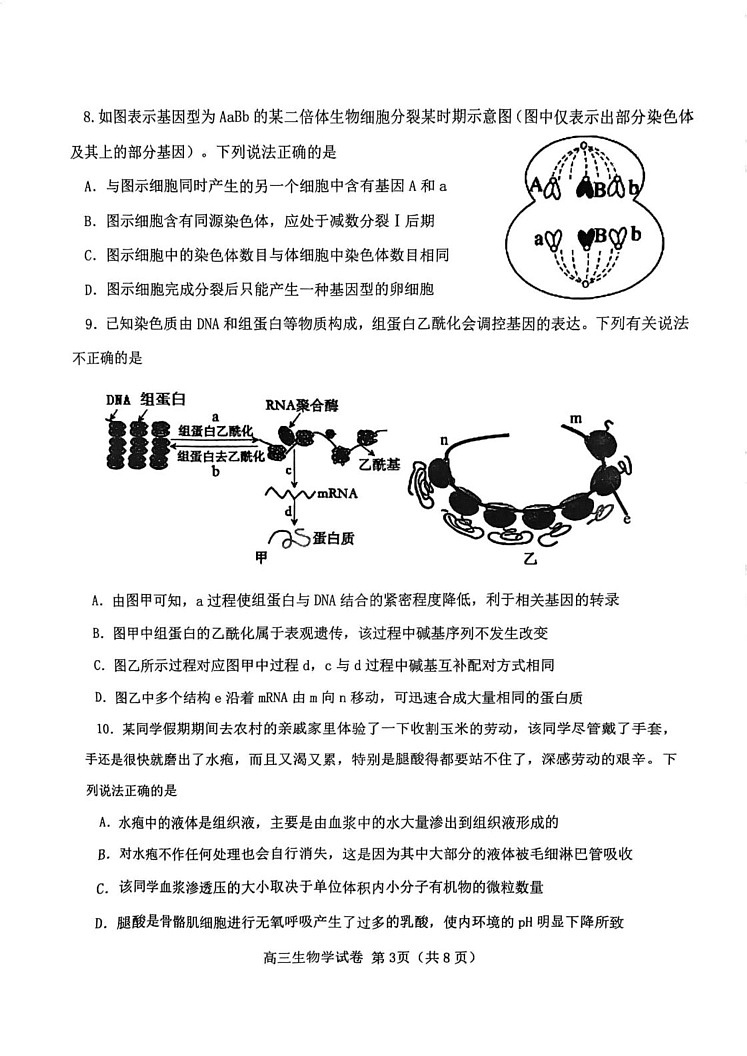天津市西青区2024-2025学年高三上学期期末生物试卷第3页