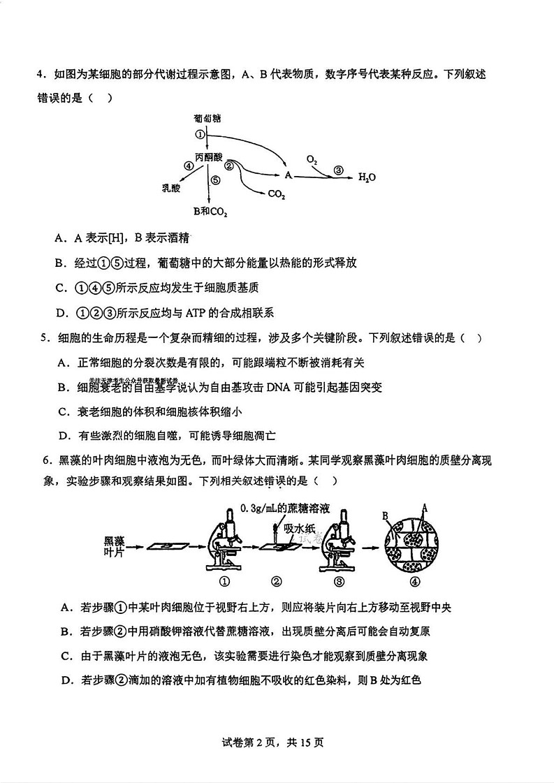 天津市南开中学2024-2025学年高一上学期1月期末生物试题第2页
