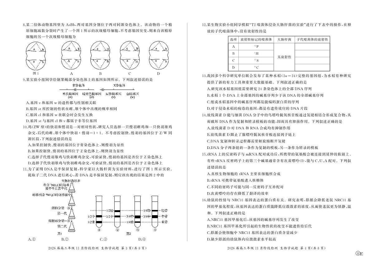 河南省百师联盟2026届高三年级11月阶段检测生物第2页