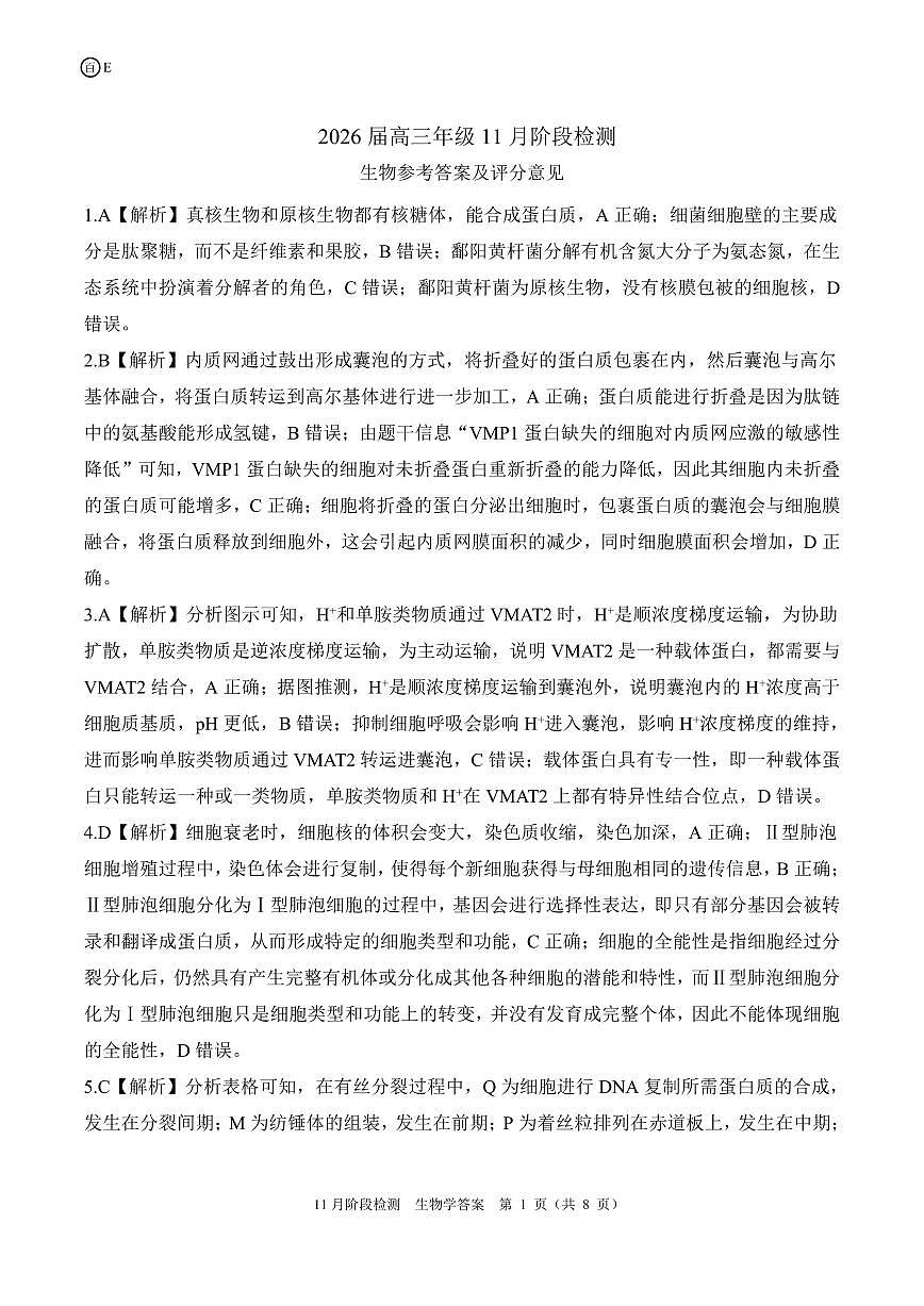 河南省百师联盟2026届高三年级11月阶段检测生物答案第1页
