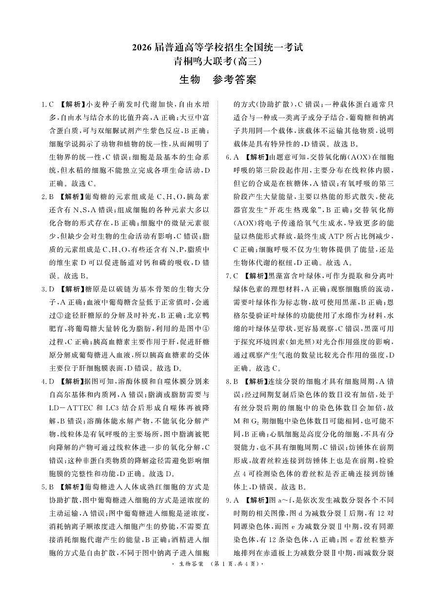 青桐鸣大联考2025-2026学年高三上学期11月联考生物答案第1页