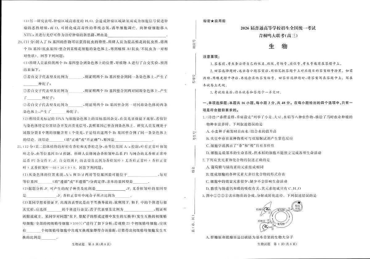 青桐鸣大联考2025-2026学年高三上学期11月联考生物第1页