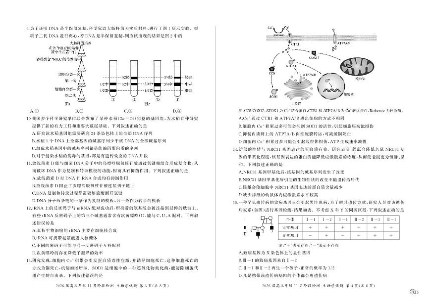 四川省百师联盟2026届高三年级11月阶段检测生物第2页