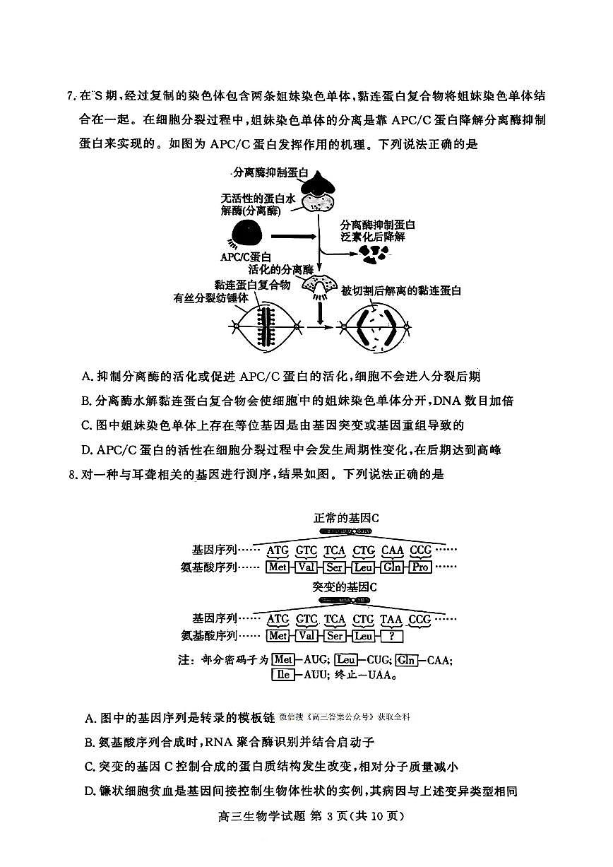 2025-2026学年山东高三上学期12月生物试题及答案第3页