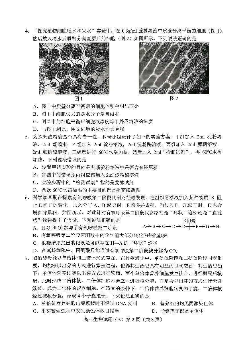 菏泽市A类高中2026届高三第一学期期中考试生物第2页