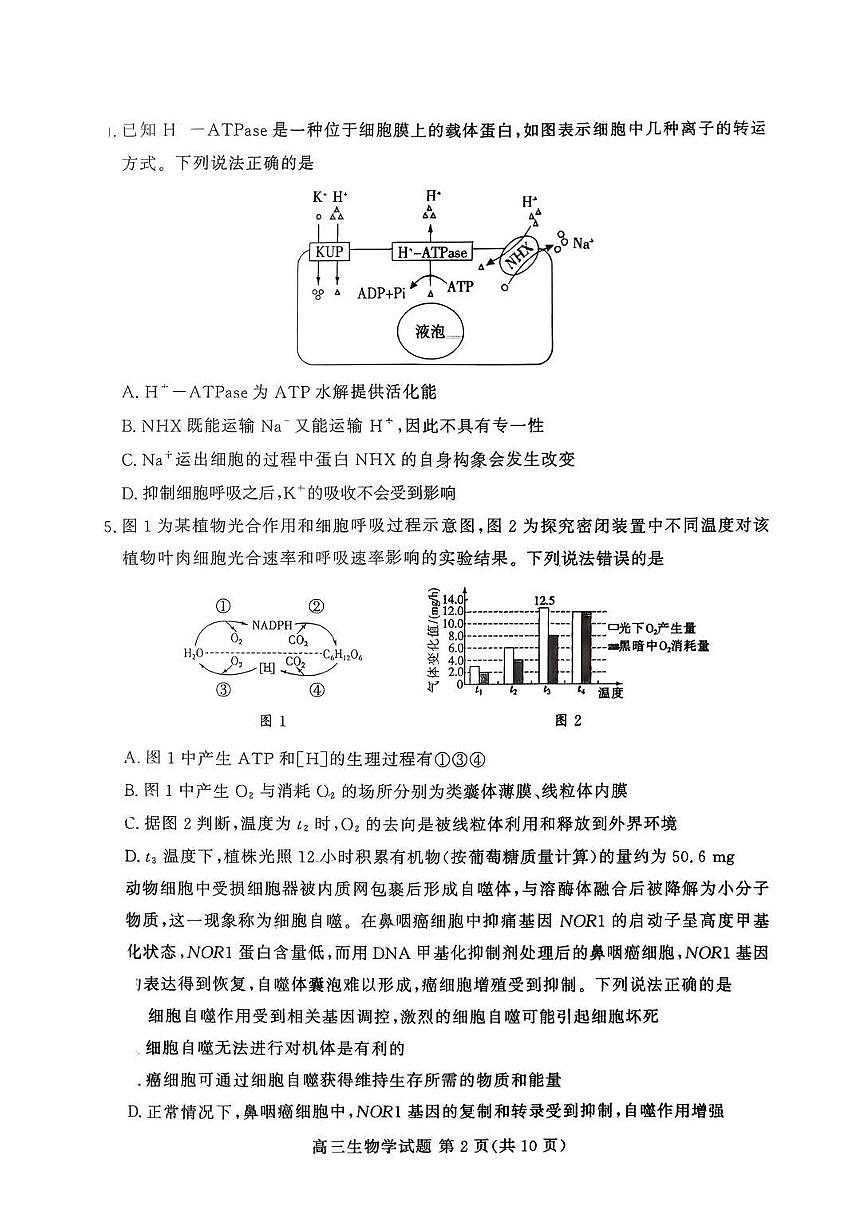 山东省山东高考质量测评联盟大联考·2025-2026学年高三上学期12月联考生物学试卷(含答案）第2页