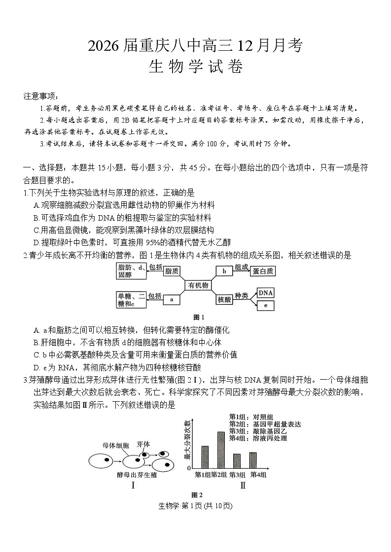 重庆市第八中学校2025-2026学年高三上学期12月月考生物试卷第1页