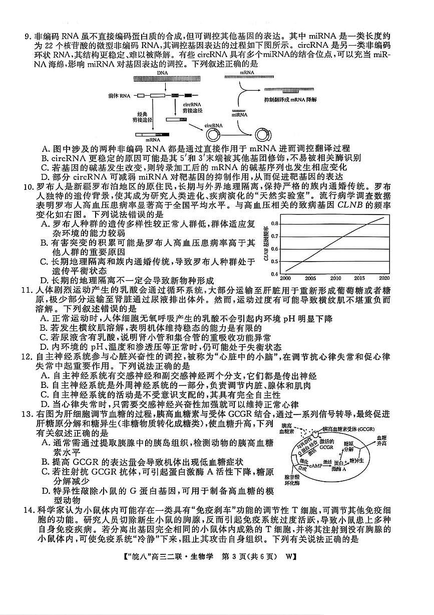 2026届安徽省“皖南八校”高三上学期第二次大联考生物试卷（含答案）第3页