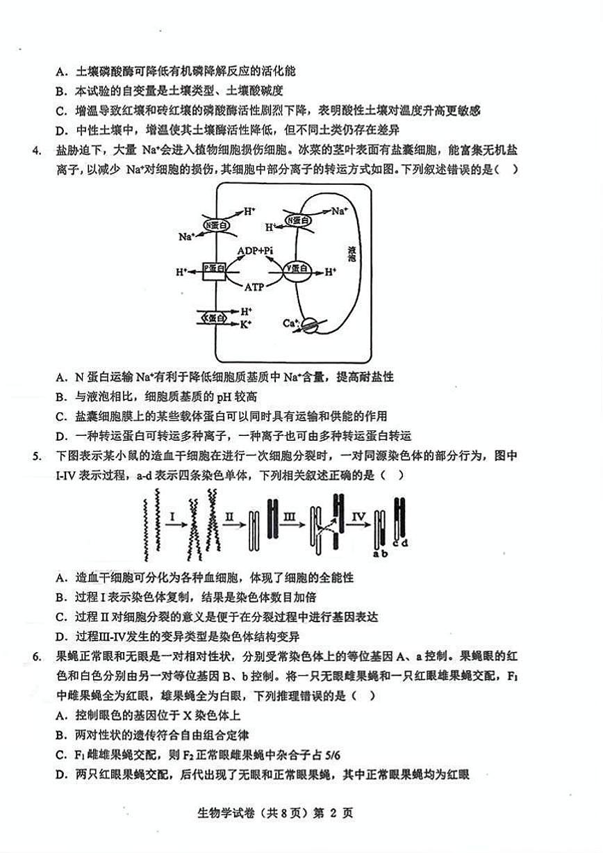湖北省楚天协作体2026届高三上学期2025年12月联考生物试卷（含答案）第2页