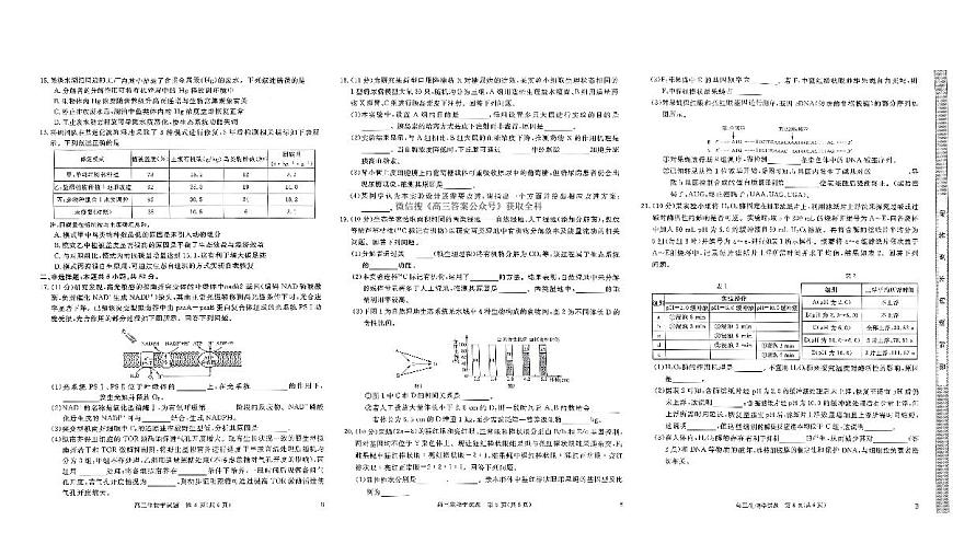 河南省新未来2025～2026学年高三年级上学期12月质量检测生物试卷（含答案）第2页